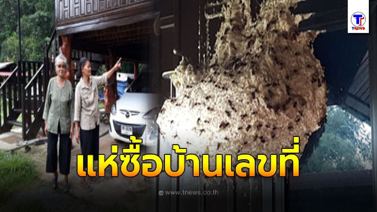 เจ้าของบ้านสุดอึ้ง เจอรังต่อหัวเสือขนาดใหญ่ อยู่บนบ้านชั้น 2 เชื่อมาให้โชค