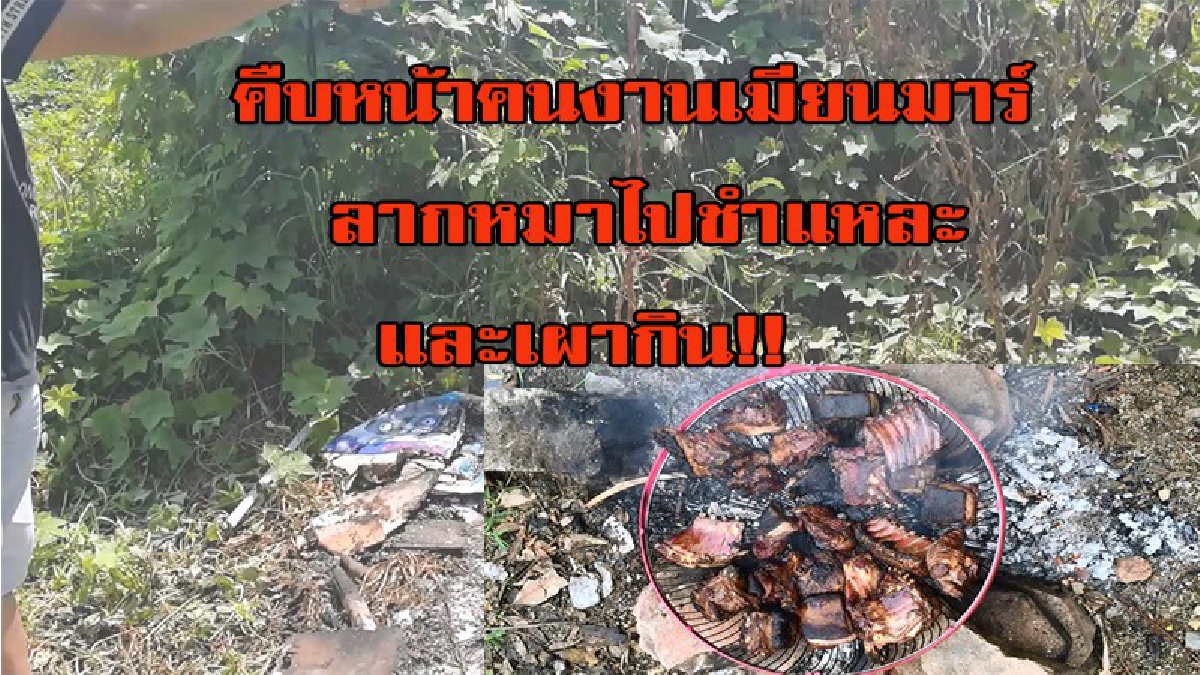 คืบหน้าคนงานเมียนมาร์ลากหมาไปชำแหละ และเผากิน!!
