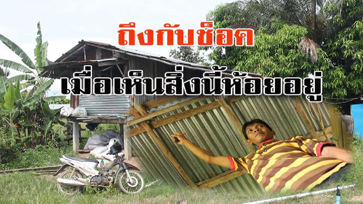 หนุ่มอุดร ตื่นเช้ารดน้ำผัก แต่ถึงกับช็อค เมื่อพบสิ่งไม่คาดคิดห้อยติดคากระท่อม!!