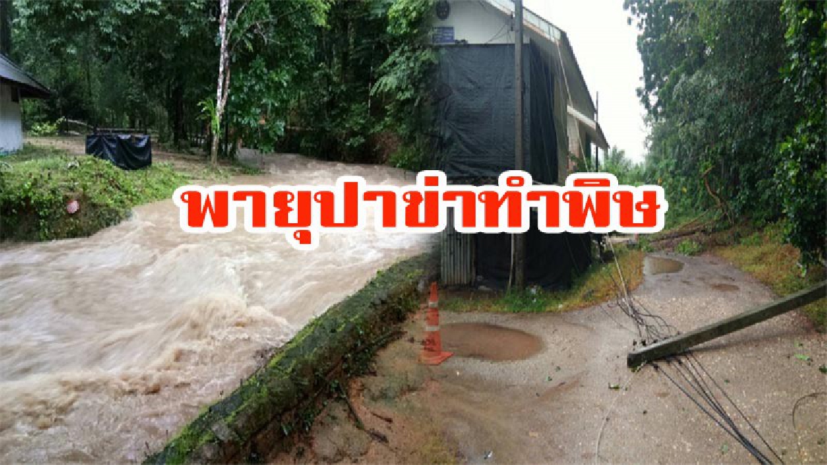 ปาข่าทำพิษ!! พังงาฝนตกต่อเนื่อง 3 วัน ขณะที่ทะเลคลื่นลมแรง ส่งผลต่อราคาอาหารทะเลขึ้นสูง 2 เท่า