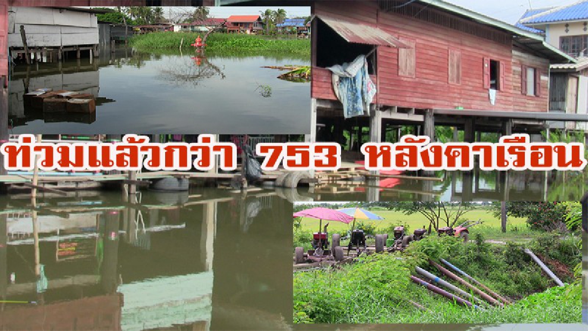 ท่วมแล้วกว่า 753 หลังคาเรือน!! อ่างทองอ่วมหนัก!!!! น้ำเอ่อท่วมสูงขยายวงกว้าง ชาวบ้านเร่งสูบน้ำออกจากนาข้าว หวั่นเสียหายมากกว่านี้