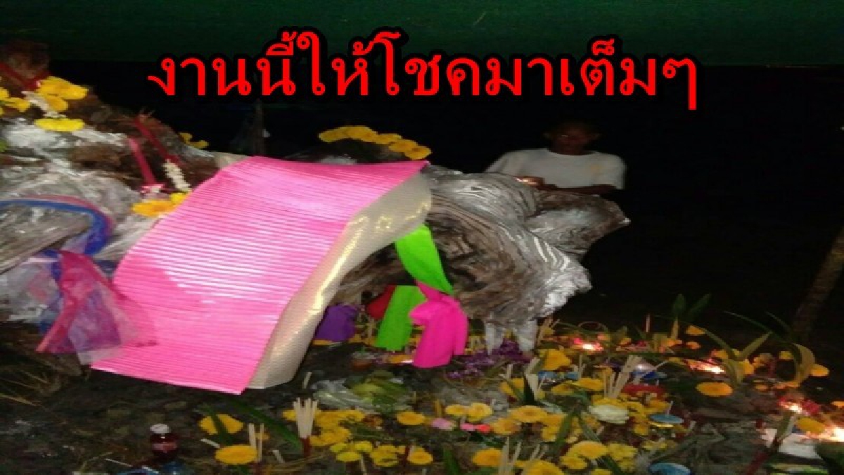 ได้เฮกันถ้วนหน้า!! เจ้าแม่ตะเคียนอายุกว่า 100 ปี ใช้โชคชาวบ้านปากพนัง งานนี้เข้าตรงๆ บรรดานักเสี่ยงโชคเตรียมแก้บนชุดใหญ่