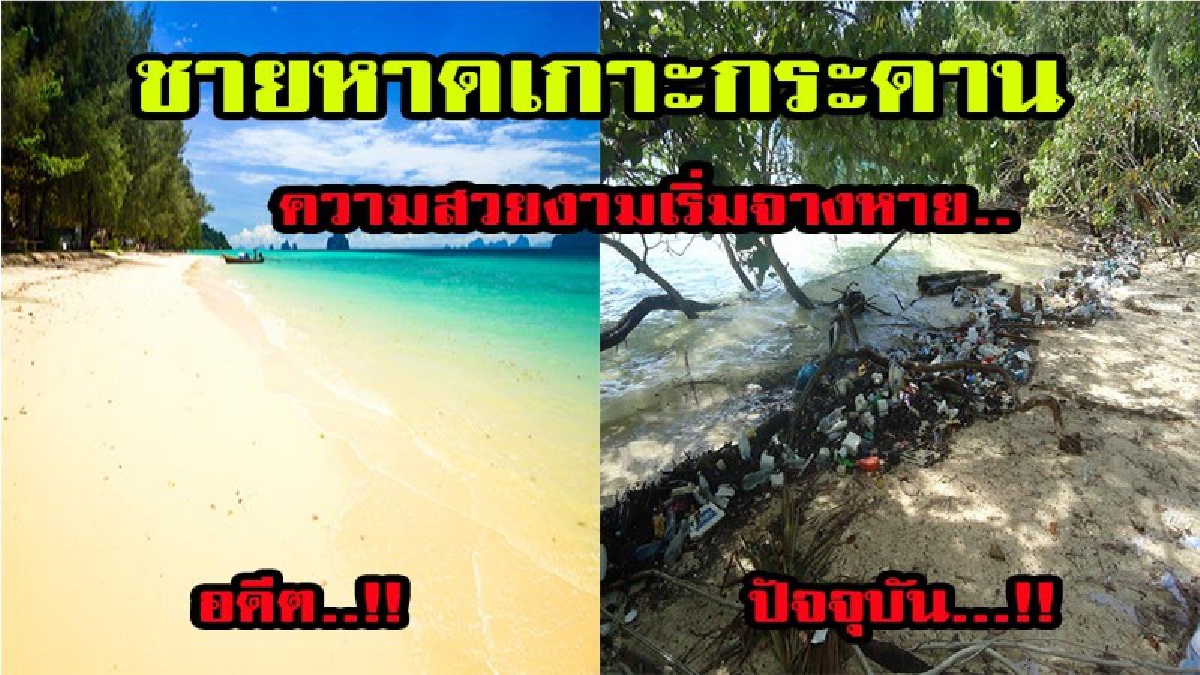 ความสวยงามเริ่มจางหาย..!! ขยะเกลื่อนชายหาดเกาะกระดาน สถานที่จัดงานวิวาห์ใต้สมุทร วอนหน่อยงานที่เกี่ยวเข้าดูแลด่วน!!