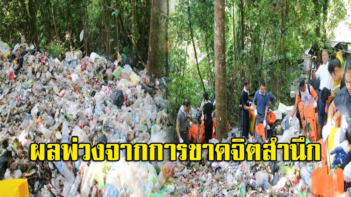 ตะลึง!! กองขยะกว่า 2 ตันโผล่บนยอดเขาหลวงสุโขทัย อพท.จับมือภาคีเครือข่ายเดินขึ้นเขาเก็บขยะ พร้อมปลุกจิตสำนึกนทท.