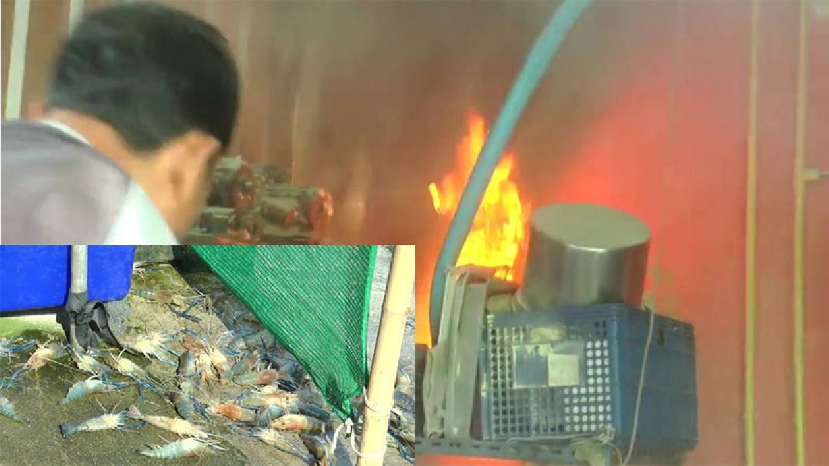 กุ้งปู ตายเกลื่อนถนนลงหาดบางแสน ไม่ใช่เกิดจากธรรมชาติ แต่มันหนีตาย เพราะไฟไหม้ปั๊มลม ร้านอาหารชื่อดัง เกือบวอดทั้งหลัง มีคลิป