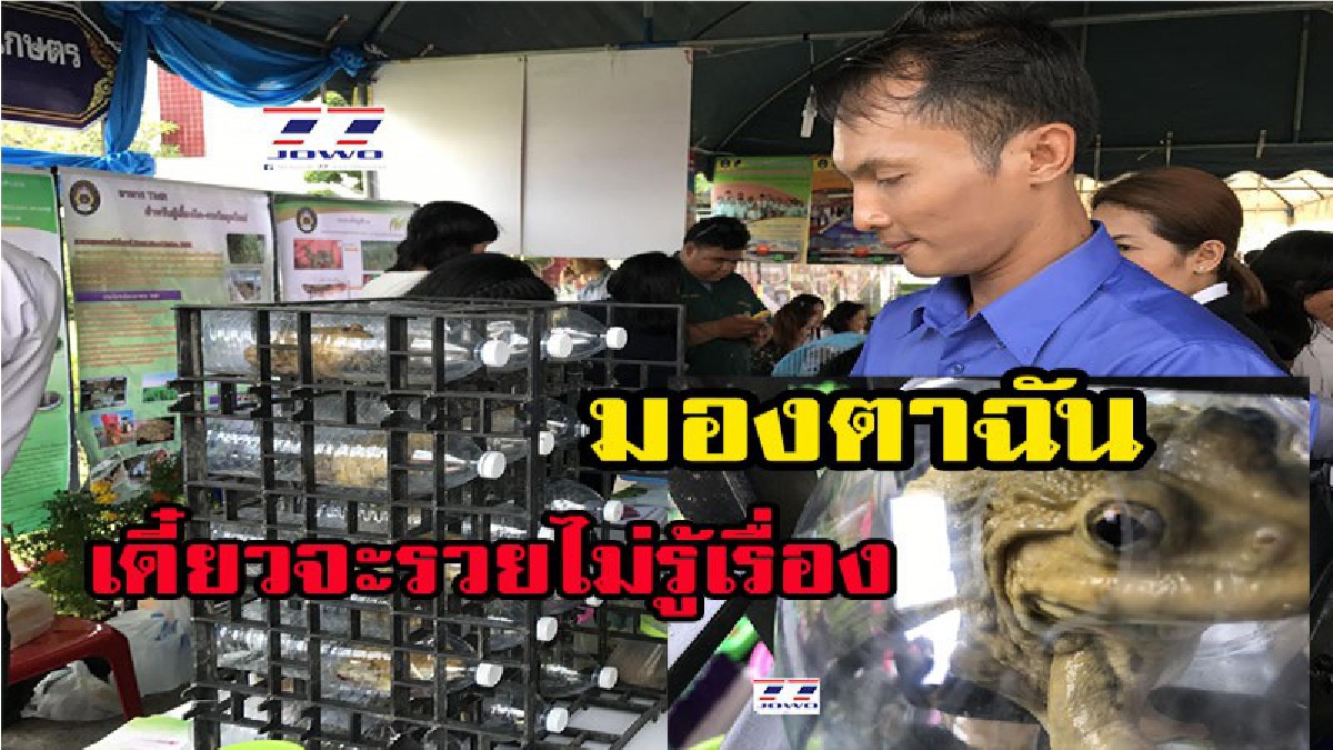 ว้าว ว้าว อาชีพพารวย ไม่ทำไม่ได้แล้ว สร้ารายได้เป็นกอบเป็นกำ   มีวิธีรวยมาบอกต่อด้วยนะคลิกเลย แล้วเราจะรวยไปด้วยกัน มีคลิป