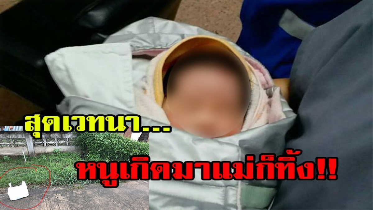สุดเวทนาหนูเกิดมา แม่ก็ทิ้ง เลวสุดที่จะบรรยาย ทิ้งลูกน้อยที่เพิ่งคลอด 1-2 วัน ห่อถุงพลาสติกสีขาวไปวางทิ้งไว้ข้างทาง ได้ลงคอ มีคลิป