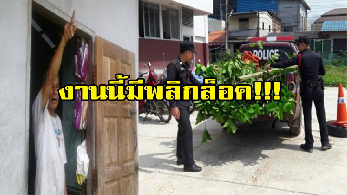 ของรักของหวง!!! พ่อเฒ่าเมืองคอนวัย 59 ปียิงปืนขึ้นฟ้าข่มขู่ 2 โจ๋แอบขโมยใบพืชกระท่อม งานนี้มีพลิกล็อค หลังโดนตำรวจทำสิ่งนี้!!!