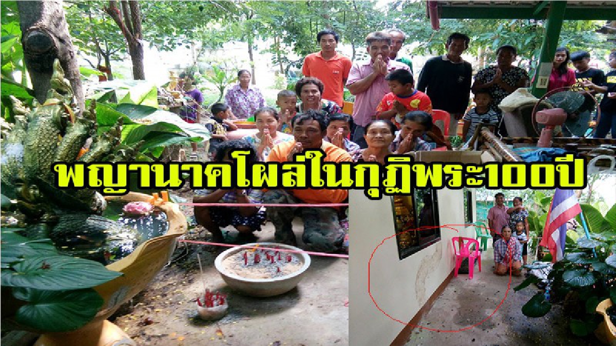 โชคดีฮือฮาทั้งหมู่บ้าน  พบรอยพญานาคโผล่ในกุฏิพระ100ปีชาวบ้านแห่ขอโชคลาภเชื่อบารมีหลวงปู่ มีคลิป