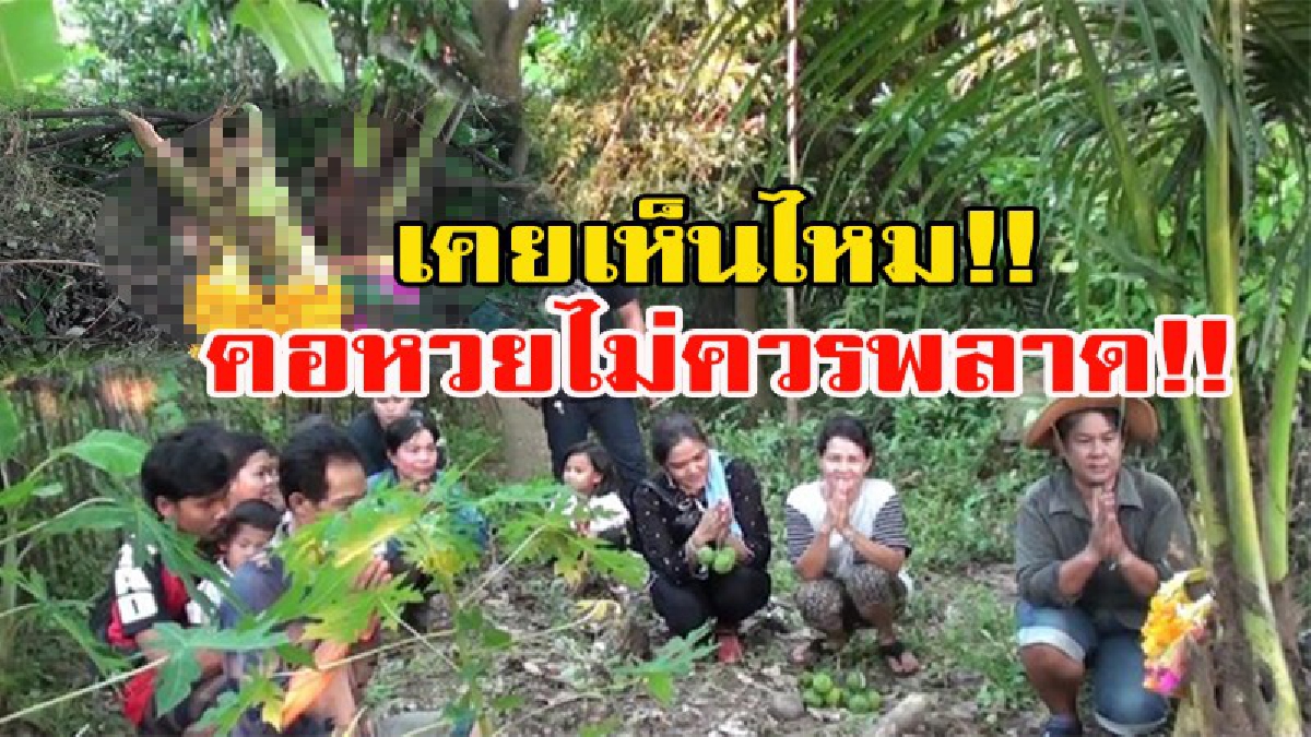 เคยเห็นไหม!!! มะพร้าวสามเศียร สุดประหลาด ชาวบ้านแห่กราบไหว้ขอโชคขอลาภ
