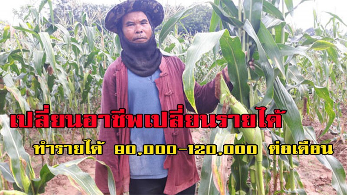อาชีพที่กำลังมาแรงแซงทุกโค้ง  ทำรายได้ 90,000-120,000 ต่อเดือน แบบไม่น่าเชื่อ ก็ต้องเชื่อเพราะ มันมีอยู่จริง!!! (มีคลิป)