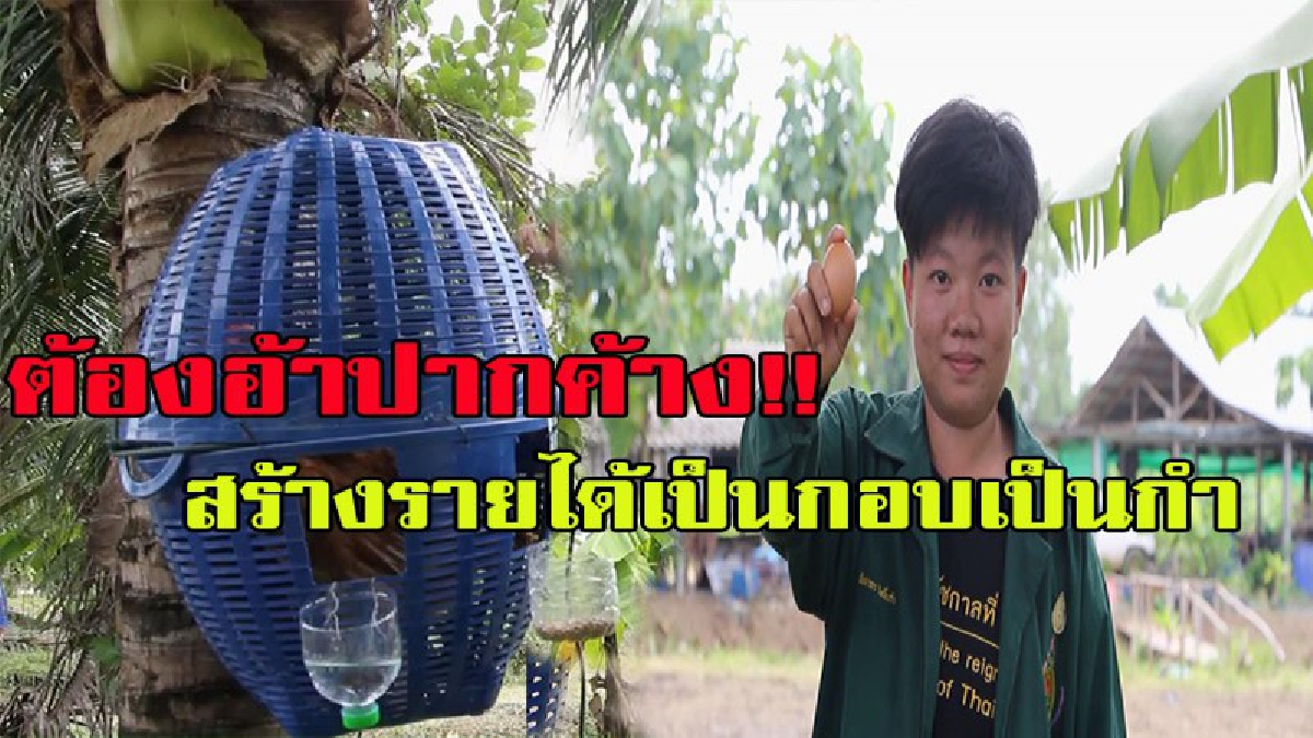 ความคิดของคนยุคใหม่ .....ไฉไลกว่าเดิมไอเดียร์สุดชิคสรรพคุณรอบตัวสร้างรายได้มหาศาล ต้องอ้าปากค้างไปตามๆกัน มีคลิป