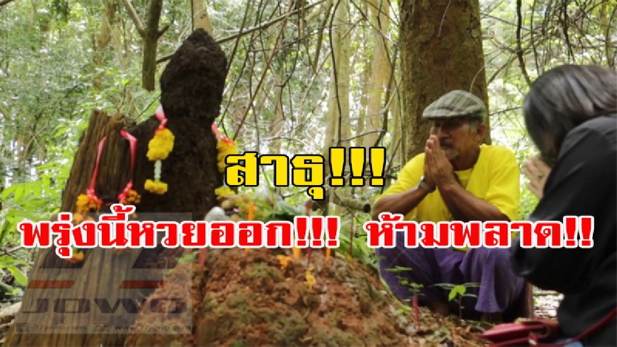 พลาดไม่ได้ พรุ่งนี้หวยออก!!! ฮือฮาจอมปลวก!!! โผล่ออกมาให้เห็นเหมือนพระพุทธรูปปางสมาธิเชิงป่าวัดดังเมืองเชียงแสน(คลิป)