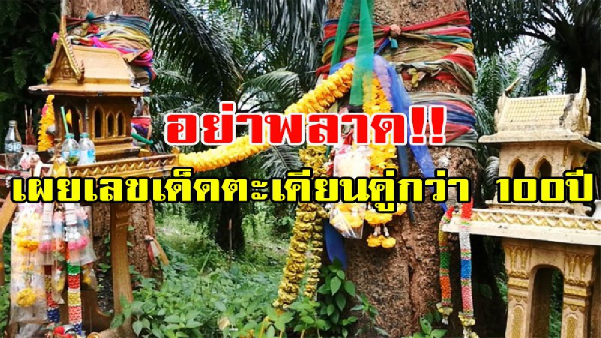 คอหวยห้ามพลาด!!!! ต้นตะเคียนคู่อายุเกือบ100 ปี นักเสี่ยงโชค เดินทางขอเสี่ยงโชค แล้วประสบโชคดี งวดนี้เผยเลขเด็ดแล้ว
