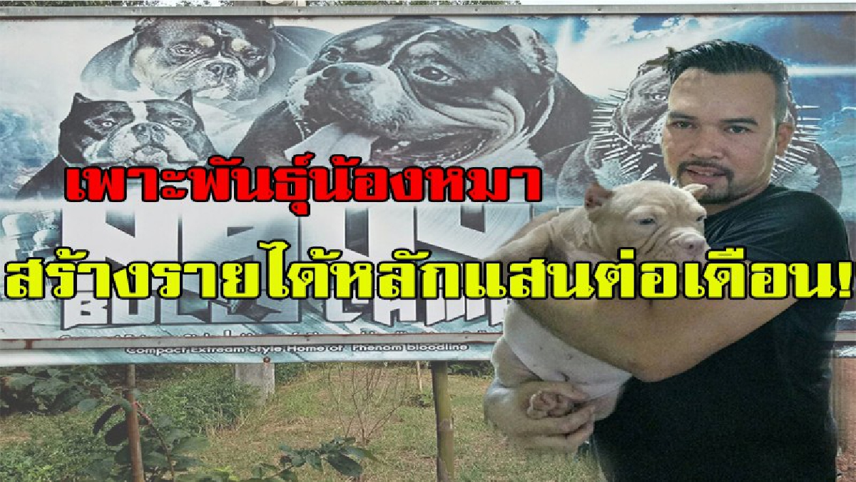 รายได้ดีเกินคาด!!!! อดีตจ่าทหารเรือเพาะพันธุ์ น้องหมา ขายน้องหมาสร้างรายได้เฉลี่ยเดือนละ  7 หมื่น ถึง 3 แสนบาท !!!