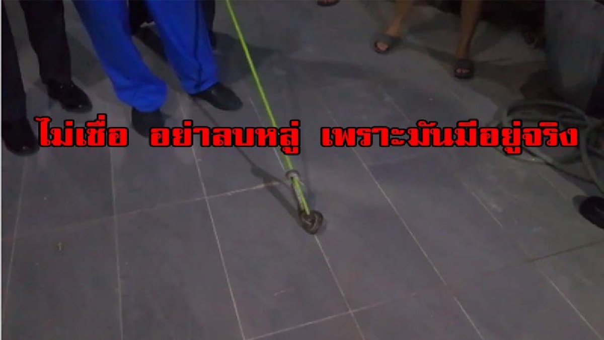 ไม่เชื่อ อย่าลบหลู่ เพราะมันมีอยู่จริง งูเหลือมโผล่ในบ้านผู้กองมาก กว่า 33 ตัว ทำทุกวิธีก็ยังไม่หาย เตรียมตั้งศาลพระภูมิ แก้เคล็ด มีคลิป