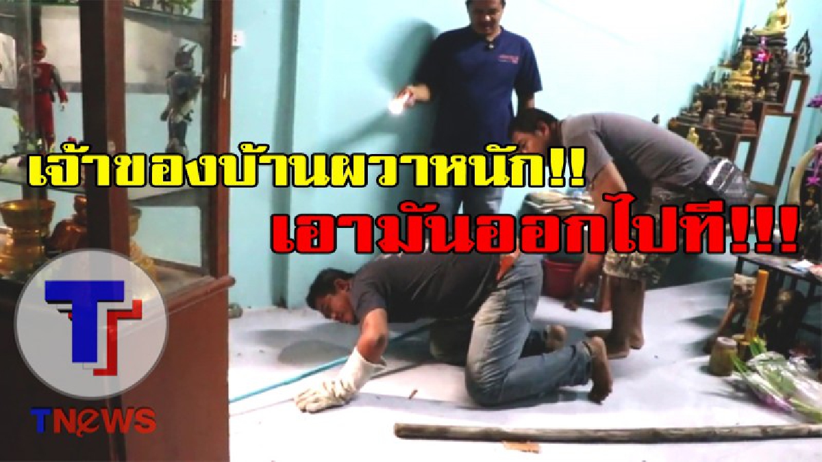 เจ้าของบ้านผวาหนัก!!! เมื่อฝนฟ้าเป็นใจ งูความยาวกว่า 1.5 เมตร เลื้อยหลบฝนในบ้าน ทำเอาคนในบ้านผวา รีบแจ้งเจ้าหน้าที่จัดการด่วน!!!