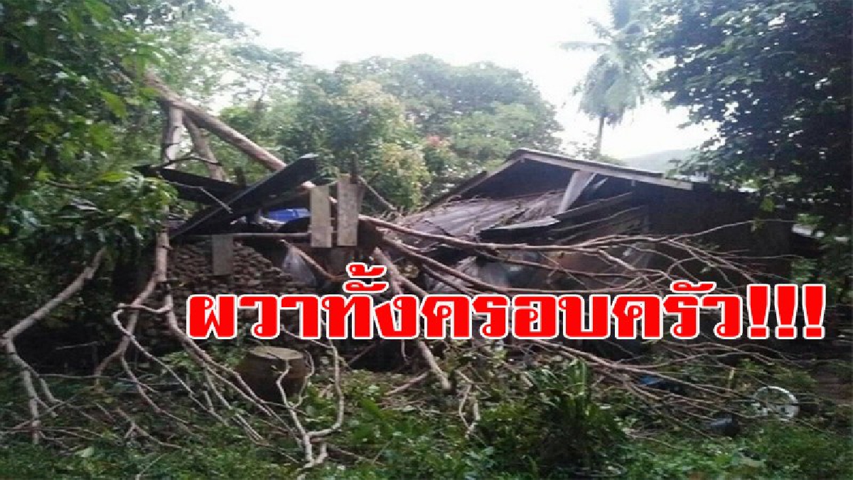 ผวาทั้งครอบครัว!!!! เสียงดังสนั่นหวั่นไหว ลุกขึ้นมาดู พายุพัดต้นไม้ใหญ่ ล้มทับบ้าน เดชะบุญรอดทั้งครอบครัว