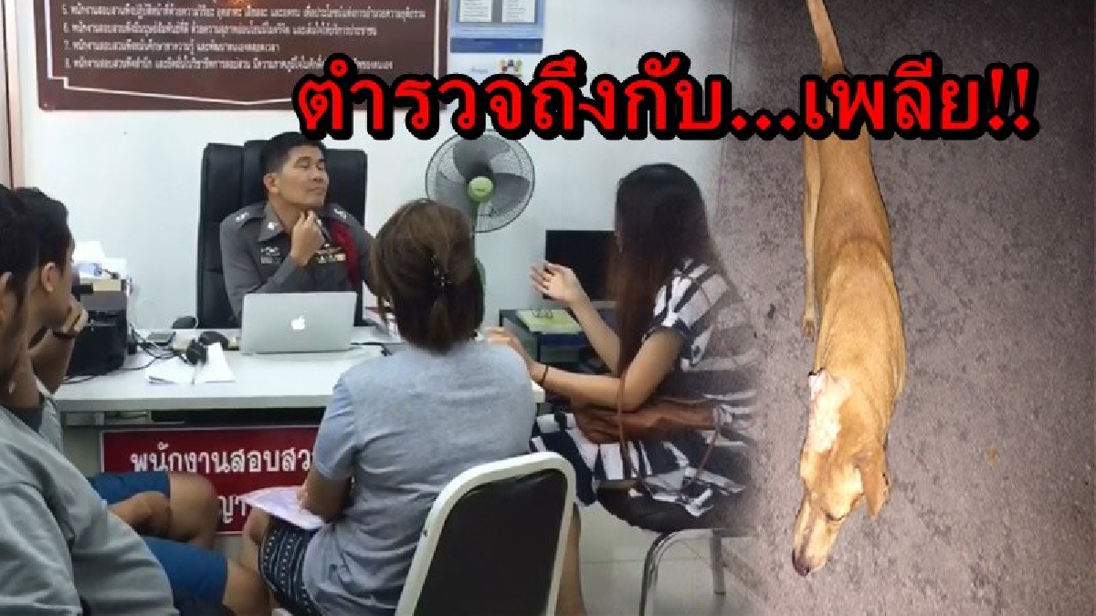 ตำรวจถึงกับเพลีย!! หมากัดหมายังเคลียร์ไม่ทันจบ คนกับคน ยังมาทะเลาะกันให้วุ่นวาย