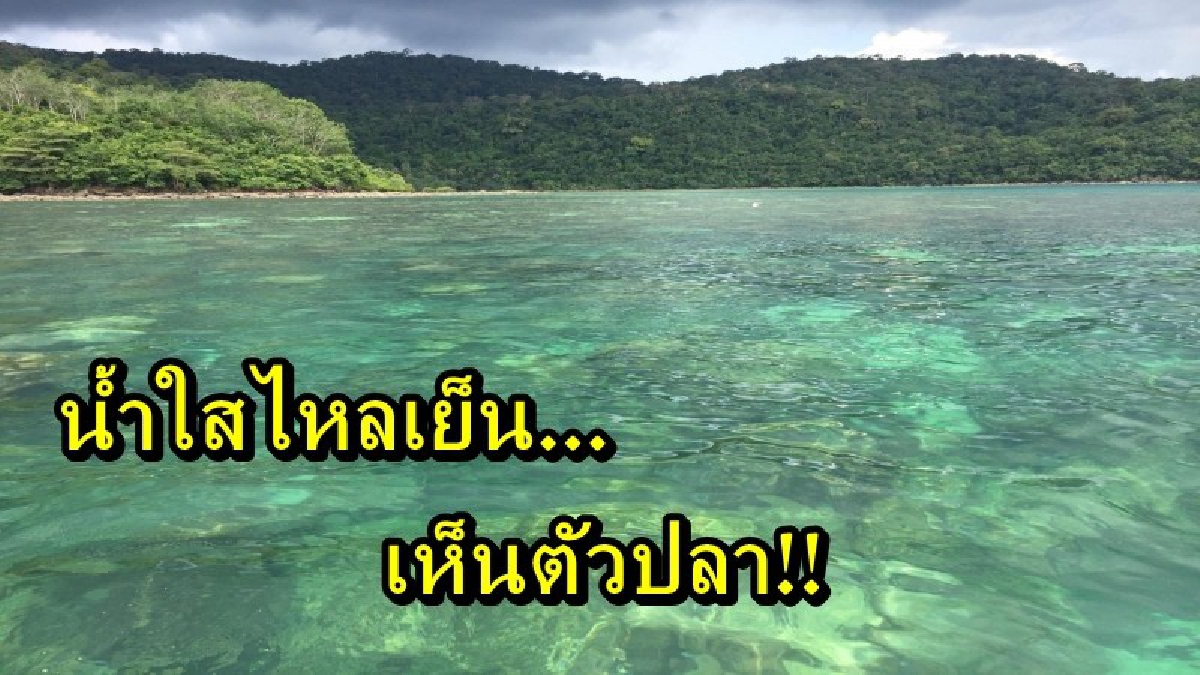 น้ำใสไหลเย็น...เห็นตัวปลา!! ใครชอบดำน้ำห้ามพลาด แลนด์มาร์คแห่งใหม่ของตราด บ้านอ่าวใหญ่ เกาะกูด สวยงามเกินคำบรรยาย (มีคลิป)