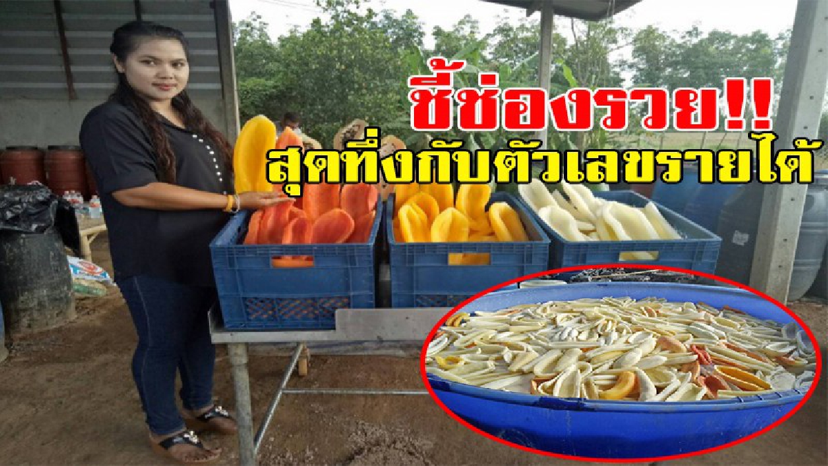 ชี้ช่องรวย!!! สาวสวยไอเดียเจ๋ง แปรรูปมะละกอดองส่งโรงงาน สร้างรายได้สุดน่าทึ่ง แสนห้า-สองแสนบาทต่อเดือน (มีคลิป)