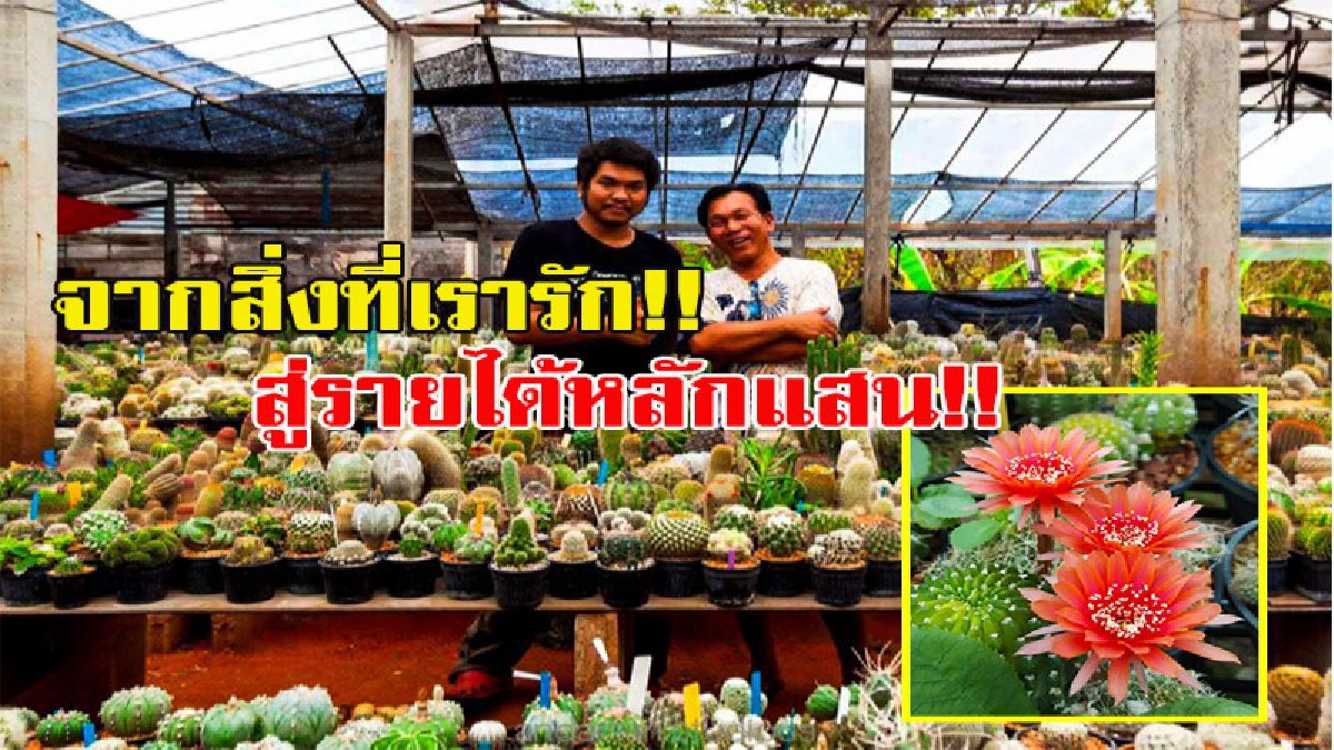 จากสิ่งที่เรารักสู่รายได้หลัก!! เวลาว่างทำเงิน!!! จนท.สวนสัตว์ ตกหลุมรักกระบองเพชรจิ๋ว!!! งานอดิเรกทำไปทำมามีเงินหลายหมื่นเข้าบัญชีทุกเดือน