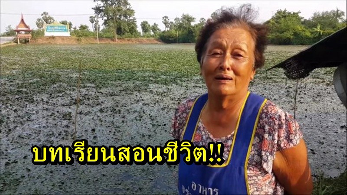 บทเรียนสอนชีวิต เกษตรกรอ่างทองช้ำจากปัญหาน้ำท่วมนาข้าว ปรับเปลี่ยงนาผืนเดิมให้เป็นอะไรต้องดู ครั้งนี้สร้างรายได้ดีกว่าปลูกข้าวเยอะ