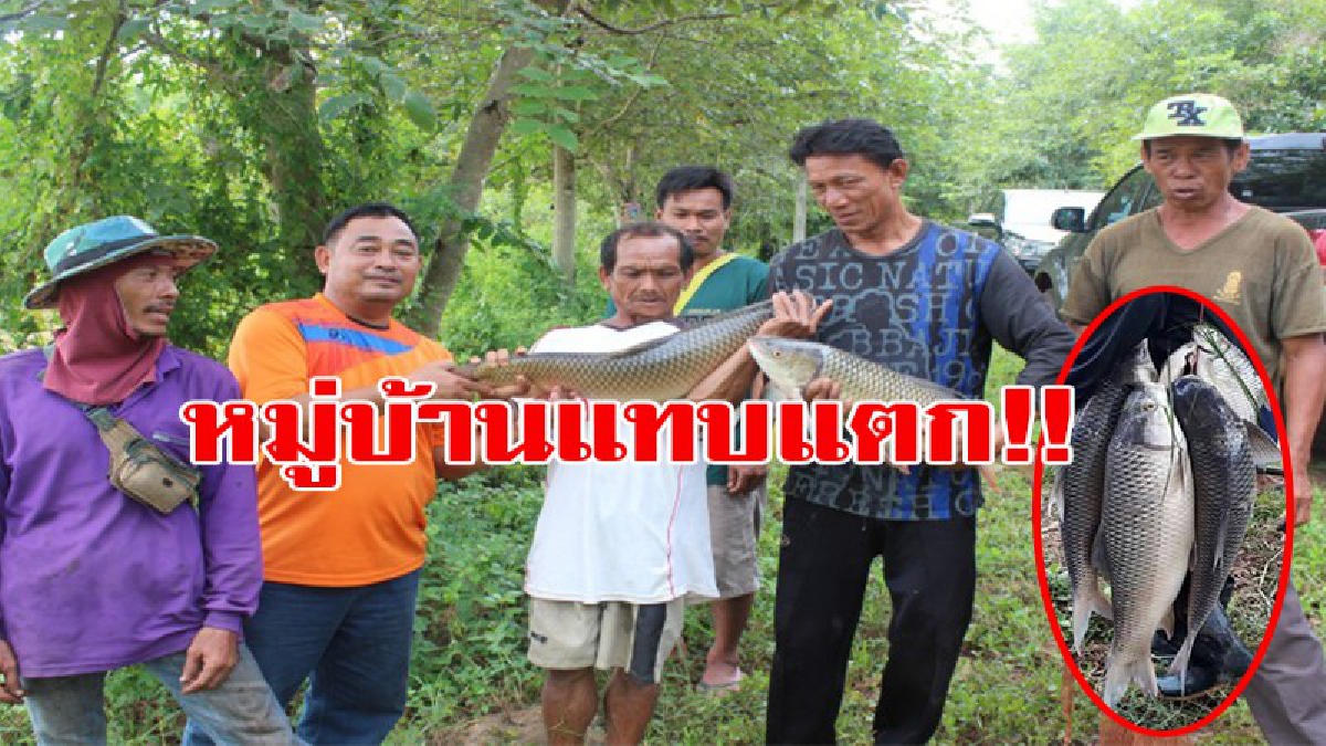 หมู่บ้านแทบแตก!!! น้ำป่าทะลักลงอ่างเก็บน้ำกลางหมู่บ้าน ปลายักษ์น็อคน้ำลอยคอ ชาวบ้านแห่แย่งกันจับได้เกือบตัน (มีคลิป)