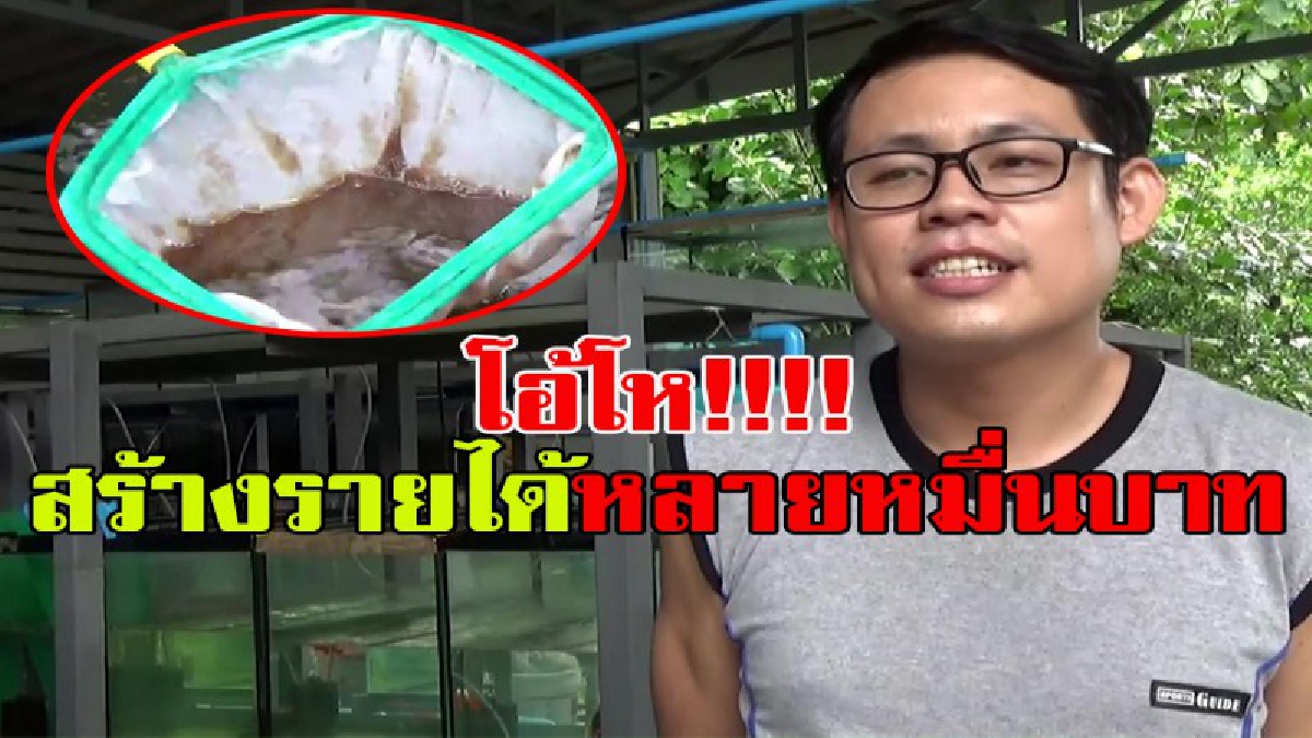 โอ้โหไม่น่าเชื่อ!! หนุ่มพนักงานห้างฯเลี้ยง "ไรแดงน้ำจืด" อาหารปลา ส่งขาย ในและต่างประเทศ สร้างรายได้หลายหมื่นบาท ดีกว่างานประจำอีก!!