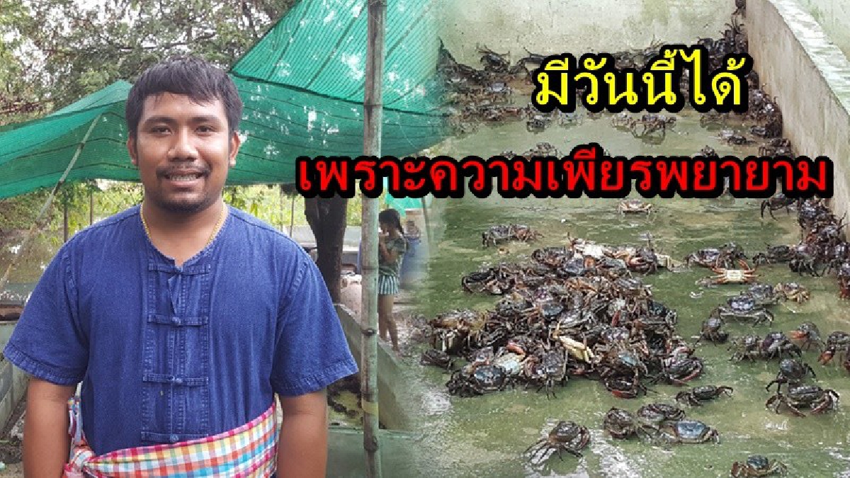 จากพนักงานประจำเงินเดือนละไม่กี่หมื่น สู่เจ้าของฟาร์มปูนา ที่สร้างรายได้ เป็นกอบเป็นกำ