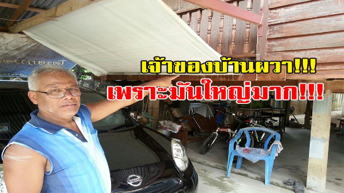 ได้ยินเสียงเหมือนมีอะไรเสียดสีอยู่บนผ้าใบนอกบ้าน จากนั้นมีเสียงวัตถุหนักหล่นลงมาที่พื้น รุ่งเช้าภรรยาร้องลั่นด้วยความตกใจ เมื่อเห็นสิ่งนี้!!