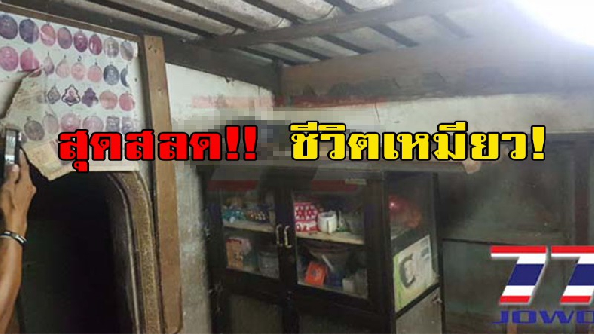 สุดสลดเจ้าเหมียว!! เจ้าของบ้านสงสัย ทำไมแมวไม่กินข้าว?? เหลือบไปเห็นสิ่งนี้ ถึงผงะ!!! (มีคลิป)