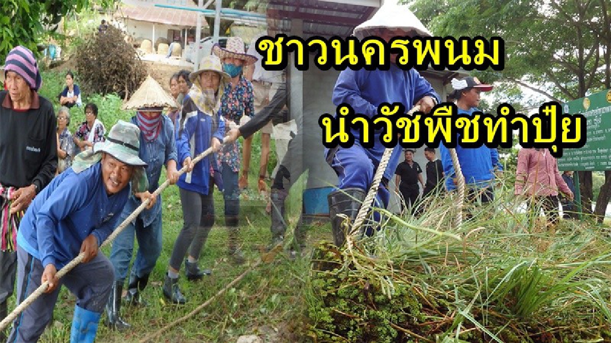 ตามรอยพ่อสอน!! ชาวนครพนม เร่งลอกวัชพืชเพื่อเปิดทางเดินน้ำ แล้วนำวัชพืชที่ได้ ไปทำปุ๋ย สร้างรายได้ให้ชุมชนอีกทาง