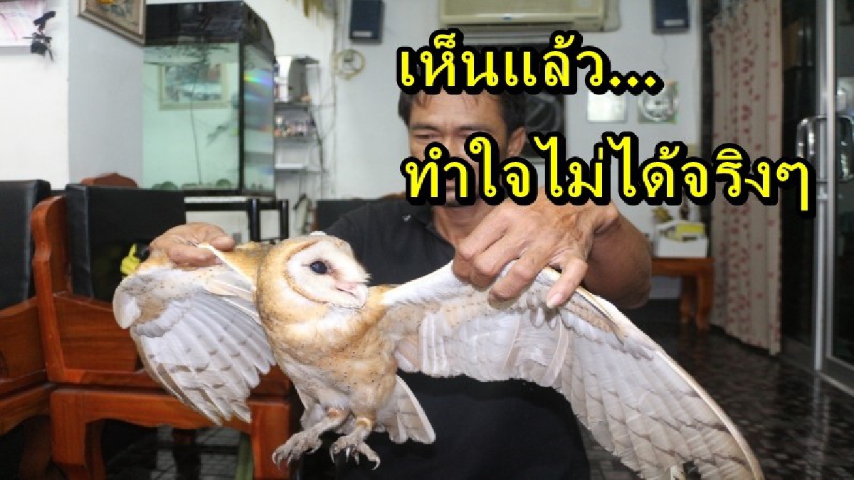 สองสามีภรรยา ใจพระ เห็นต่างด้าวจับนกเค้าแมวมากิน ทนไม่ไหว จึงได้ทำแบบนี้ คนแห่ชมยอดคนจริงๆ