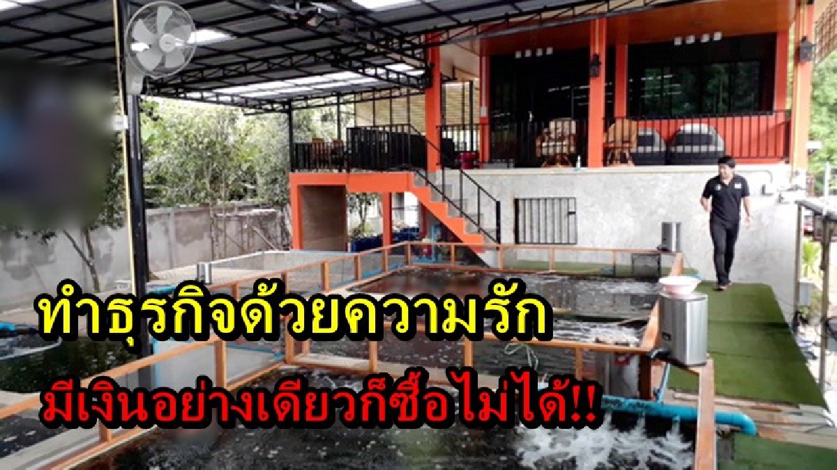 มีเงินอย่างเดียวก็ซื้อไม่ได้!! เจ้าของฟาร์มปลาชื่อดัง ทำธุรกิจด้วยความรัก เผยไม่รักปลาจริงมีเงินเท่าไหร่ก็ไม่ขาย อยากรู้ปลาอะไรต้องดู
