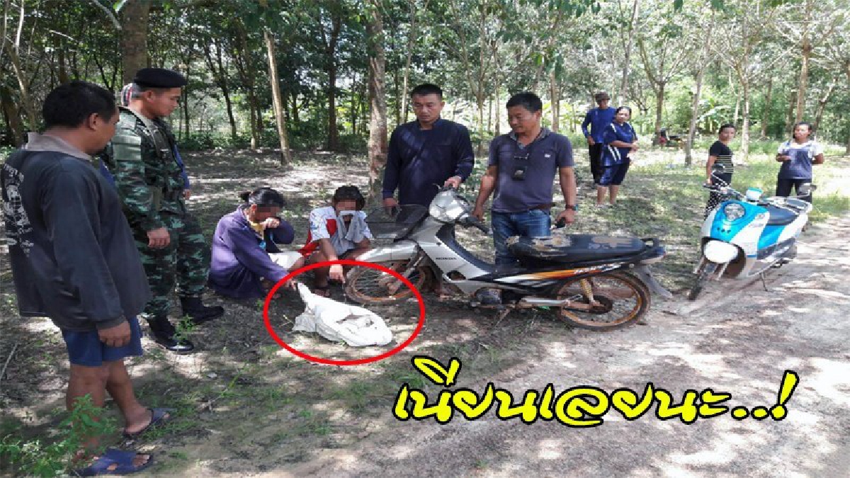 รวบ 2 น้าหลาน นัดกิ๊กวัยดึกมาเจอในสวนยาง ระหว่างรอ.."ขโมยเก็บขี้ยางเต็มกระสอบ" สารภาพหมดเปลือก..ต้นเหตุทำอดใจไม่ไหว (ดูคลิป)
