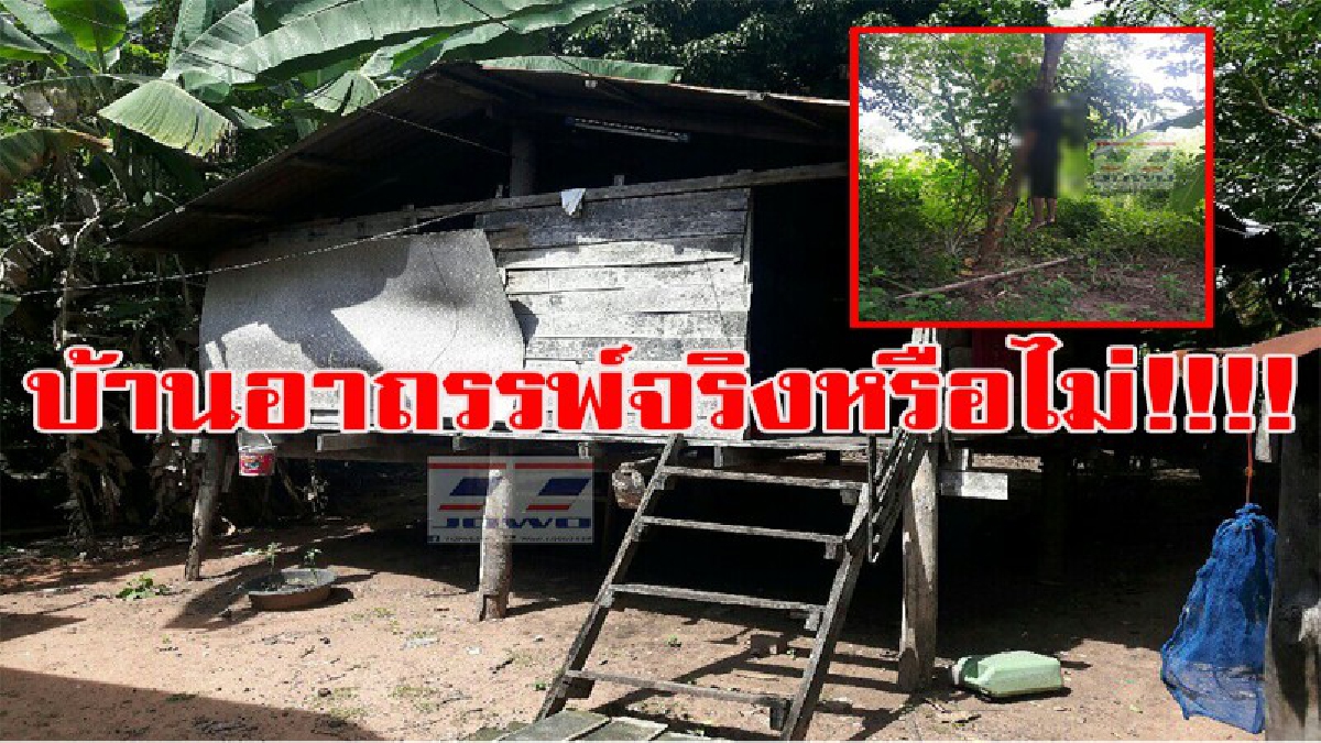 คิดว่าขึ้นไปเก็บมะพร้าว แต่กลายเป็นศพ ชาวบ้านลือถึงอาถรรพ์หลังคร่าชีวิตไปเกือบหมดครอบครัว!!!