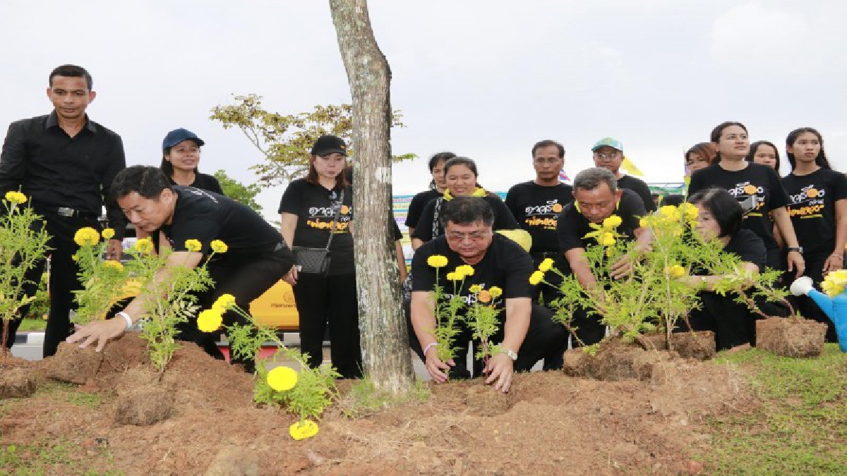 รองอธิบดีทางหลวงชนบท พร้อมชาวบ้านร่วมปลูกดาวเรือง ถวายพ่อหลวง ร.๙
