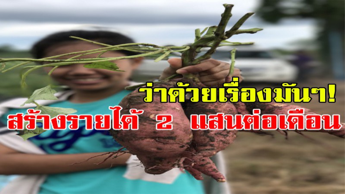 รวย!!! 2 แสนต่อเดือน!! ว่าด้วยเรื่องมันๆ ที่ทำเงินเข้ากระเป๋าแบบเน้นๆ!!! (มีคลิป)