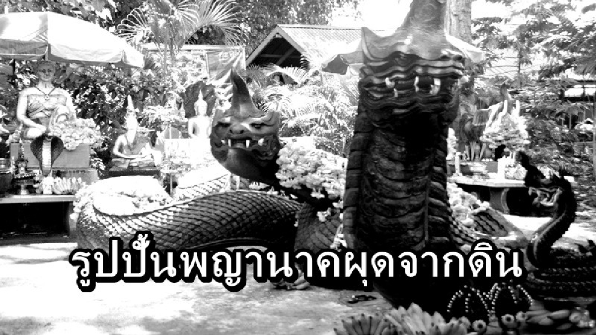 สุดท้ายแล้ว ห้ามพลาด รูปปั้นพญานาคผุดจากดิน ให้เลขเด็ดถูกหลายงวดติด ประชาชนแห่กราบไหว้แน่น คอหวยไม่พลาดส่องจุดสำคัญ