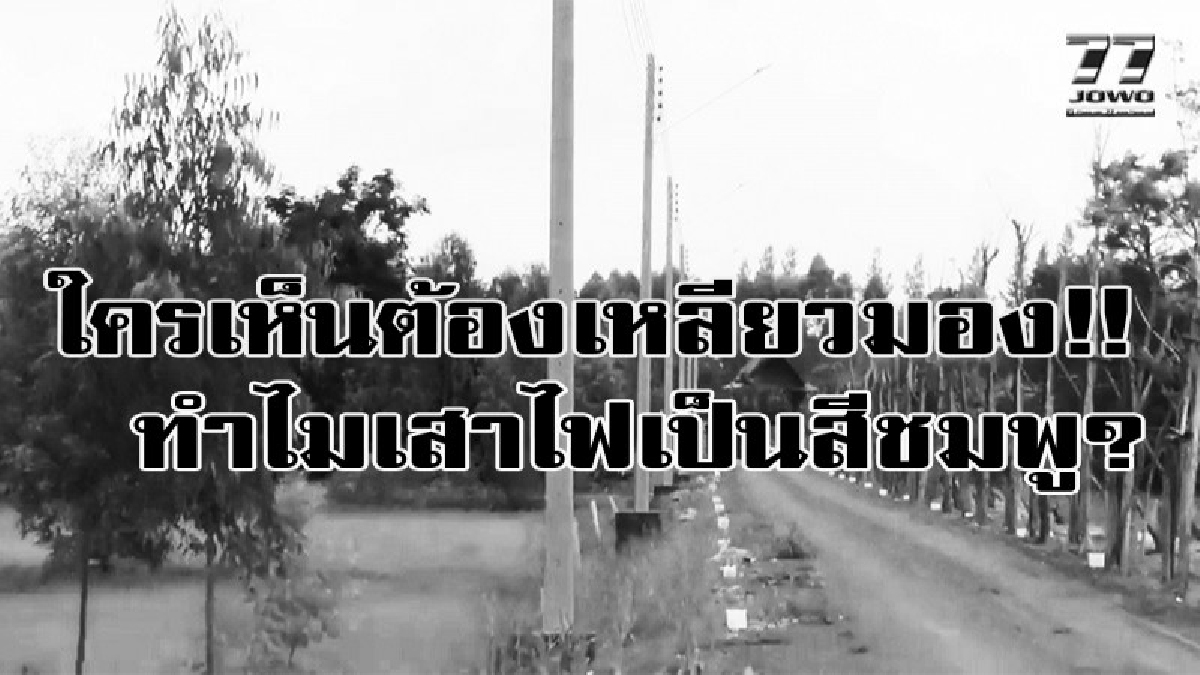 เห็นแล้วต้องเหลียวมอง! เสาไฟฟ้าทางเข้าบ้านเป็นสีชมพู ชาวบ้านต่างสงสัยว่าทำแบบนี้ทำไม? เข้าไปสอบถามเจ้าของ ถึงกับบอกไอเดียเริส!! (มีคลิป)