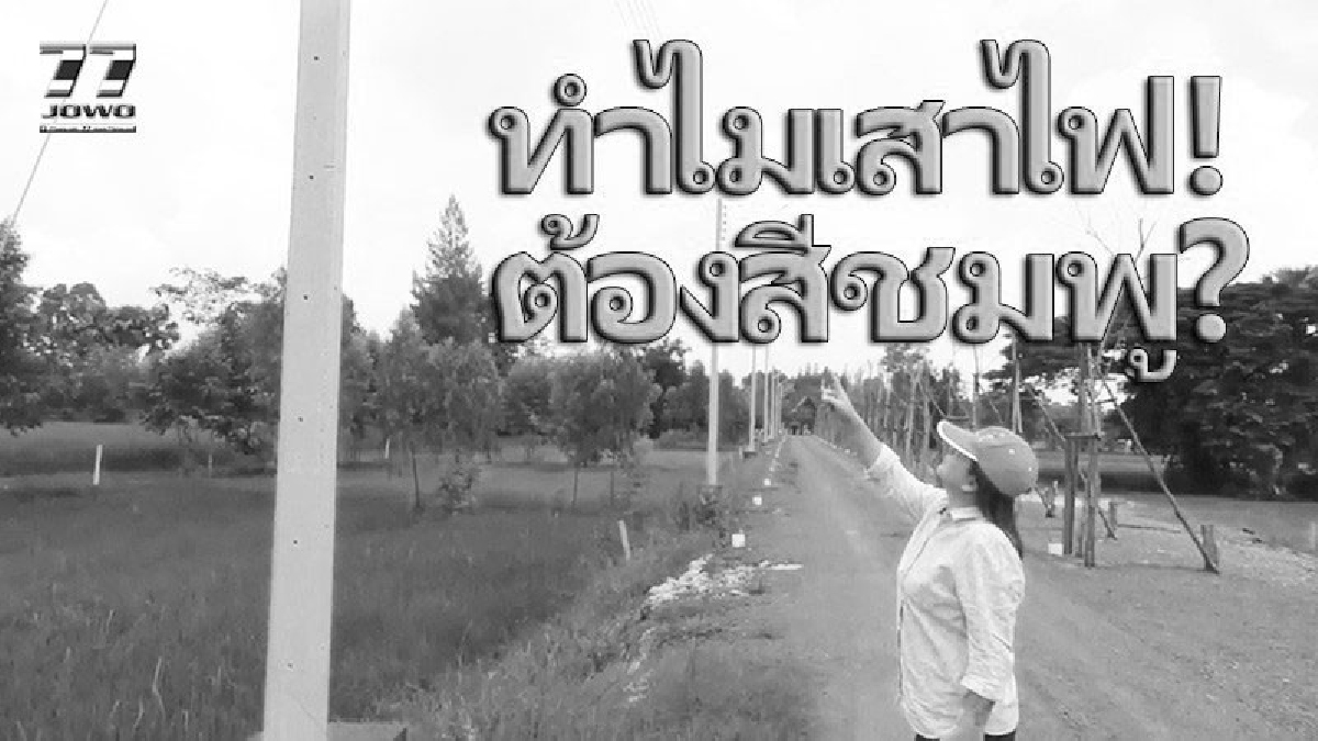 หวานแหวว..แวววับจับตาไกล โคราชสุดเก๋! ทาเสาไฟฟ้าทางเข้าบ้านเป็นสีชมพู หวานเจี๊ยบ หาง่าย ไอเดียบรรเจิด พร้อมเผยเหตุผล ทำไมต้องสีมพู!? (คลิป)