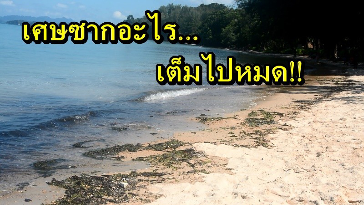 ยี้...อะไรเต็มหาด!! พบเศษซากสีเขียวๆคล้ำๆ เต็มชายหาดทับแขก นักท่องเที่ยวหวั่นมีพิษ