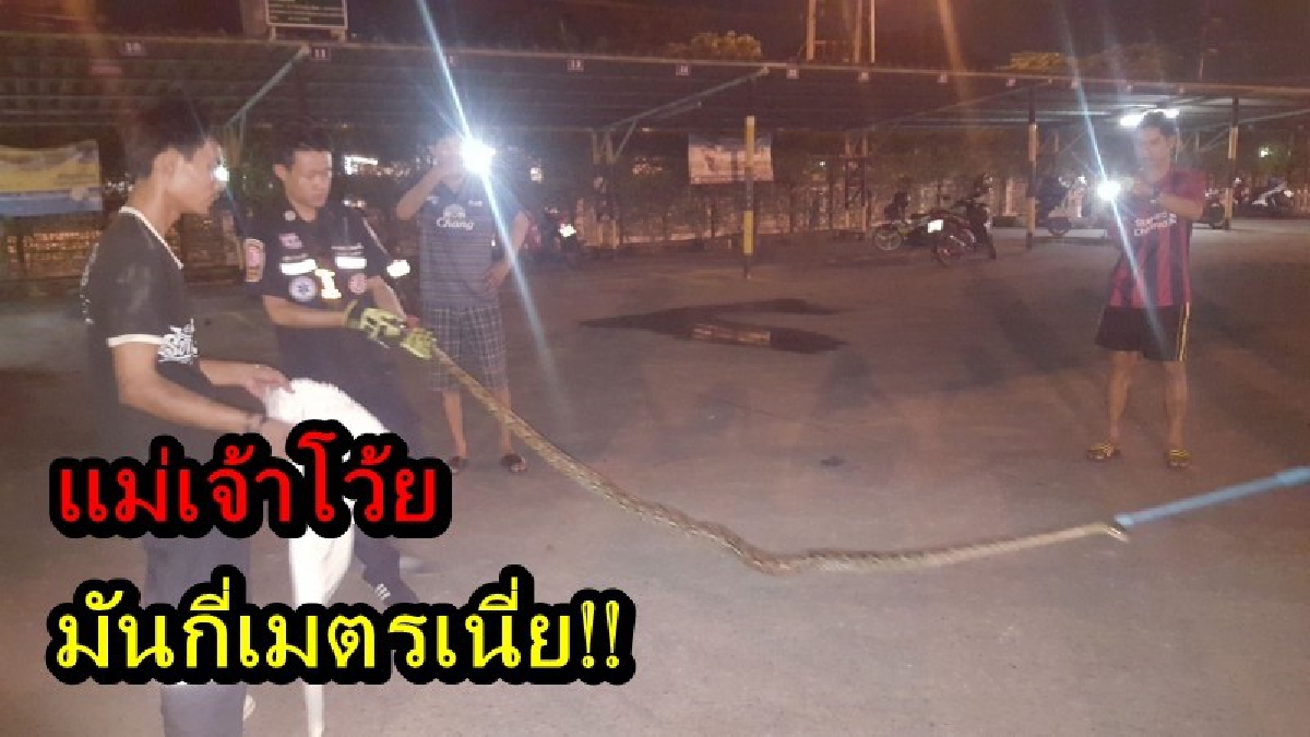 กู้ภัยพยายามดึงงูเหลือม ออกจากห้องเครื่องรถกระบะ ร่วม 3 ชม. ไม่สำเร็จ คนงานกัมพูชาเสนอวิธีแบบโบราณ เล่นเอาคนรอบข้างสะพรึง!!