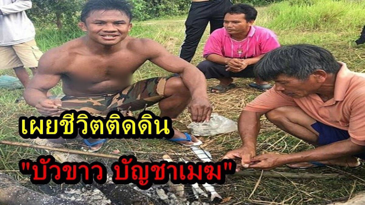 ถึงจะดังแต่ไม่เคยลืมกำพืด "บัวขาว บัญชาเมฆ" เผยชีวิตติดดินที่บ้านเกิด พร้อมน้อมนำหลักปรัชญาเศรษฐกิจพอเพียงมาปรับใช้ นี่แหละฮีโร่มวยไทย