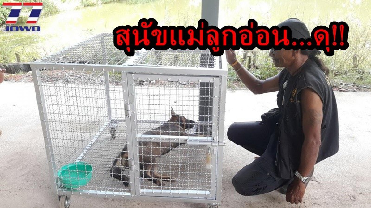 หวิดเสียโฉม!! สาวดวงซวย โดนสุนัขแม่ลูกอ่อนกัดเข้าที่ใบหน้า ปศุสัตว์ขอกักตัวไว้เพื่อรอดูอาการ ว่าเป็นบ้าหรือไม่?