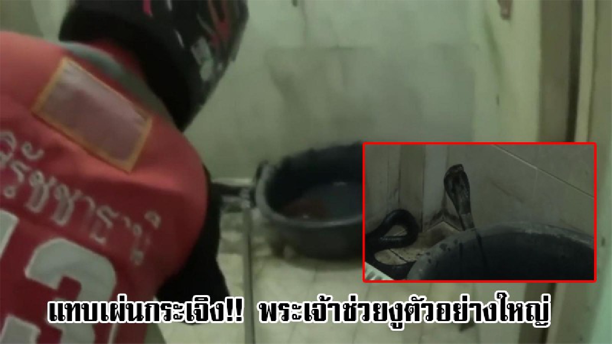 ทำเอาขาสั่น..ขวัญกระเจิง ! เจ้าของร้านโทรศัพท์ กำลังจะเข้าห้องน้ำทำธุระส่วนตัว จู่ๆได้ยินเสียงขู่ฟ่อ เห็นอีกทีแทบช็อค งูตัวอย่างใหญ่!?