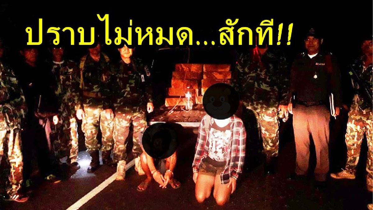 ปราบไม่หมดสักที!! ตำรวจดักซุ่มจับแก๊งค้าไม้เถื่อน พบเป็นวัยรุ่นถูกจ้างวานพร้อมของกลางไม้ประดู่แปรรูปกว่า 10 แผ่น มูลค่าหลายแสนบาท