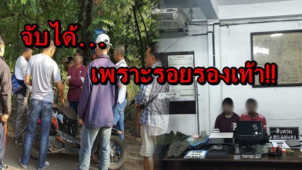 อย่างกับในละคร!! ตำรวจสภ.แม่แตงไอเดียเจ๋ง ถึงกล้องวงจรปิดไม่มี ก็จับคนร้ายจากการสืบรอยรองเท้า งานนี้ได้ใจชาวบ้านไปเต็มๆ