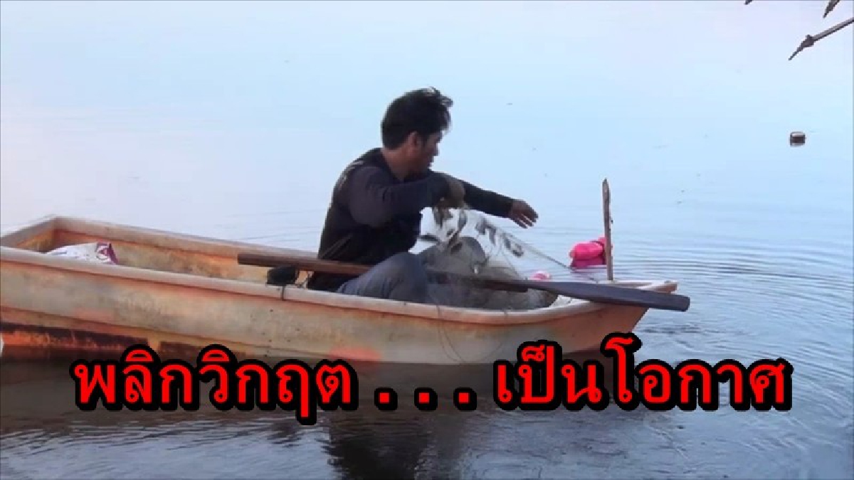 ไม่มัวน้อยใจ!! หลังโดนน้ำเข้าท่วมพื้นที่นา ชาวบ้านอ่างทองลงข่ายหาปลา เหลือจากกินก็แบ่งขาย สร้างรายได้เป็นอย่างดี